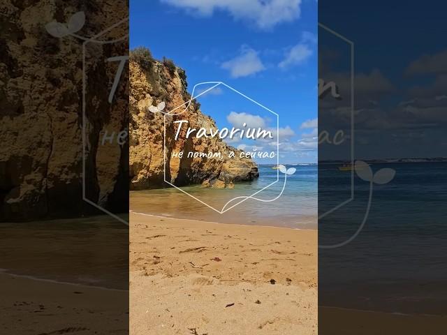 Travorium: Живи, а не жди