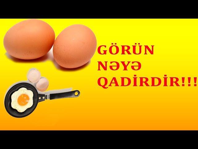 HƏR GÜN YUMURTA YEYİN (Yumurta Faydaları)