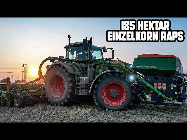 Wir legen 185 Hektar Raps mit dem Fendt 728 und einer Amazone Precea