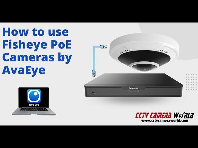 How to use Fisheye PoE Cameras by AvaEye with NVR