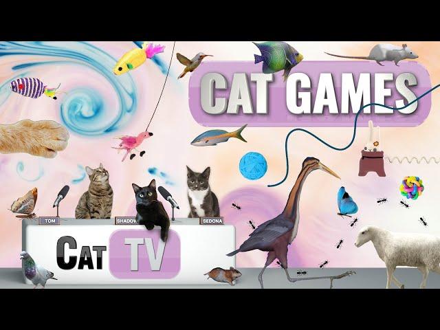 CAT Games | Ultimate Cat TV Compilation Vol 52 | 2 HOURS 