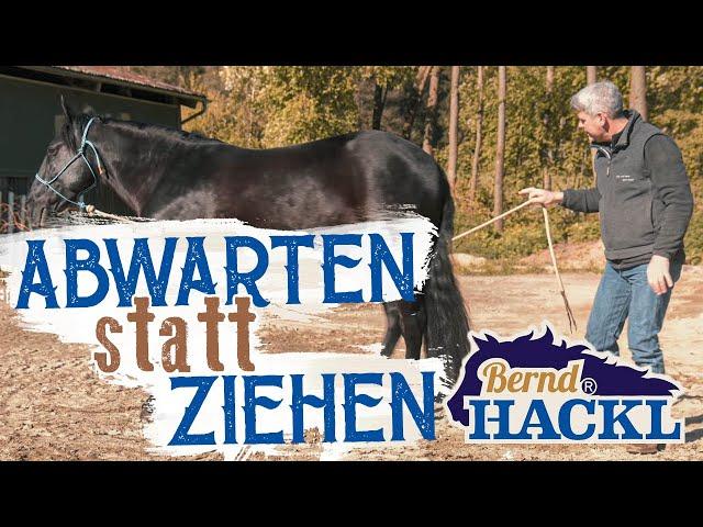 Abwarten statt ziehen | Bernd Hackl erklärt! 