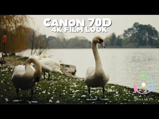 Canon 70D | 4K Upscale