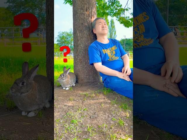 어느 토끼와의 사랑이야기 ️ #rabbit #동물키우기 #반려동물
