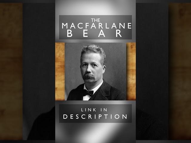 The MacFarlane Bear Paradox | Zoological Mystery