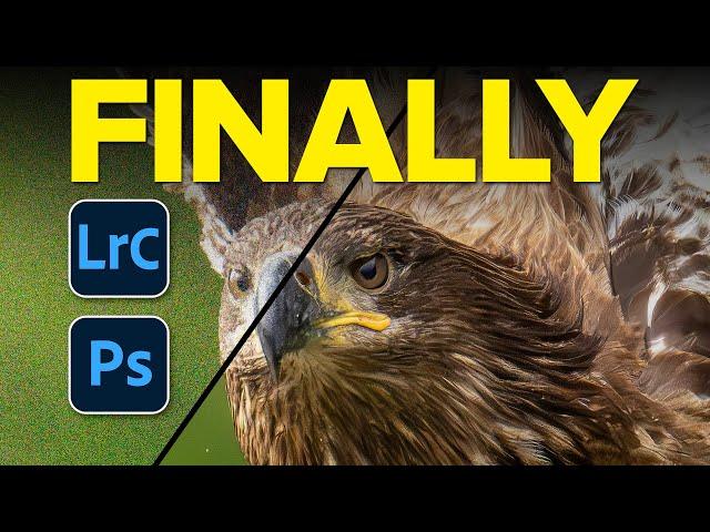 FINALLY!!! Amazing Noise Reduction in Lightroom and Photoshop