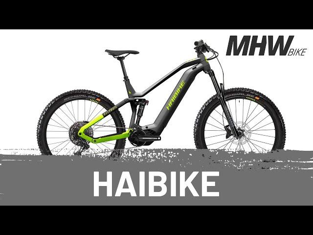 Haibike AllTrail 9 titan / lime / black matt - E-Bike Fully MTB