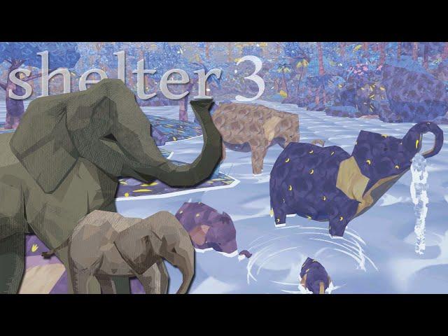 A New Life Born Within the Elephant Herd!!  Shelter 3 • #1