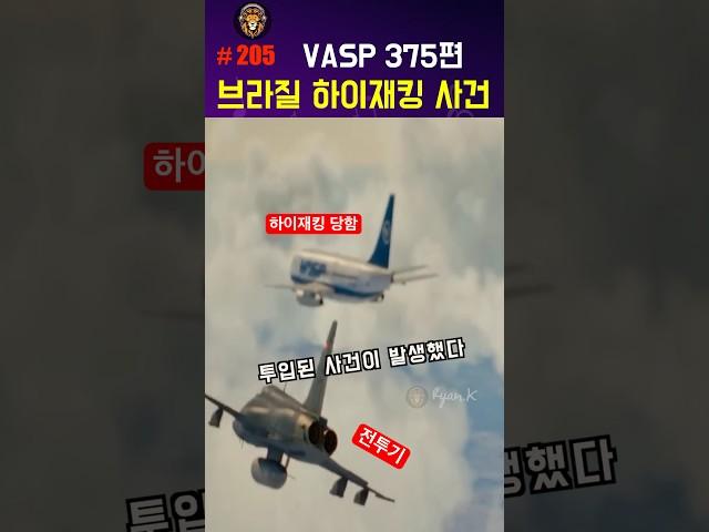 브라질 비행기 하이재킹 사건, VASP 375편