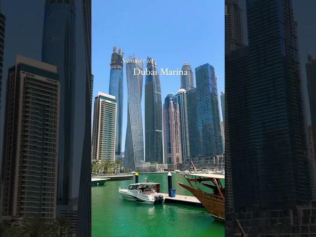 Dubai marina walk in summer #dubaimarina #marinawalk #mydubai #dubaivlog #travelvlog