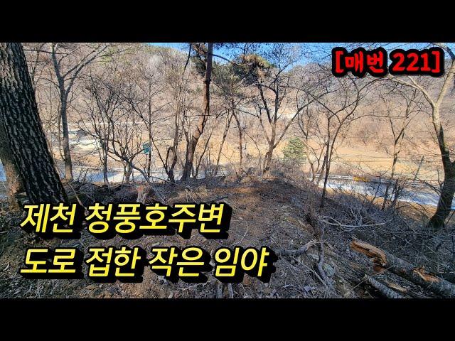 [매번 221] 제천땅 청풍호주변임야 국유지접한임야 도로접한임야 자연인임야