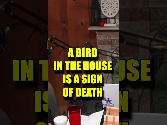 Hillbilly Folklore - A Bird in the House #appalachian