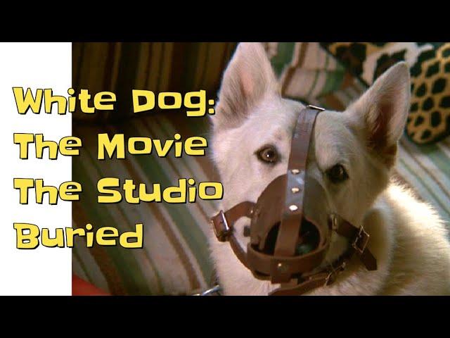 White Dog - The Anti-Racist Movie The Studio Hated.