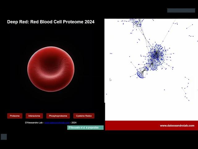 CIHD Virtual Seminar April 15th, 2025 - Angelo D’Alessandro, Ph.D.