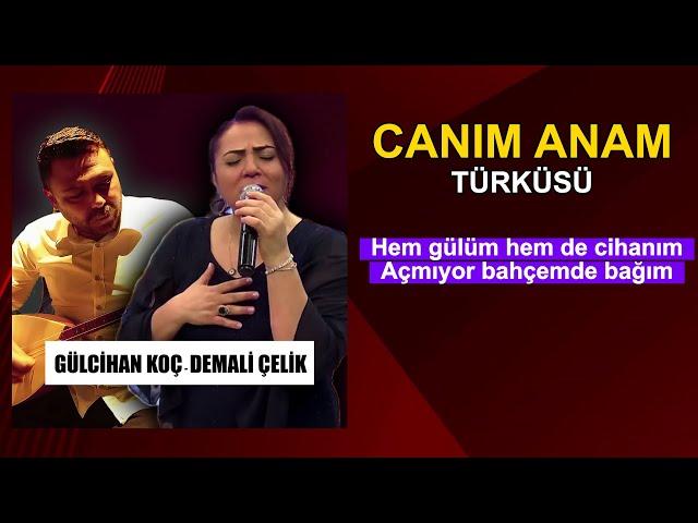 Gülcihan Koç & Demali Çelik - Canım Anam | Single © 2025 Demali Çelik Müzik