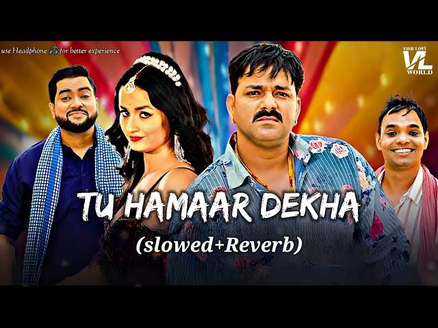 Tu Hamaar Dekha | Slowed+Reverb - lofi | #pawansingh #shilpiraj | #bhojpurisong | VISH LOFI WORLD