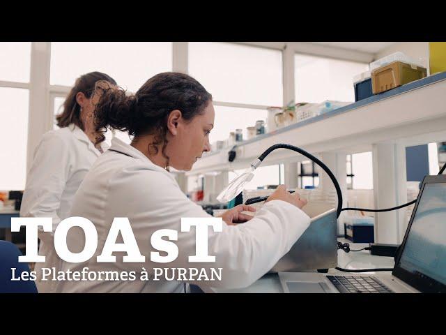 TOAsT - les plateformes de l'École d'Ingénieurs de PURPAN