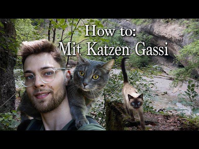 Mit Katzen Gassi gehen (Schritt-für-Schritt-Anleitung)