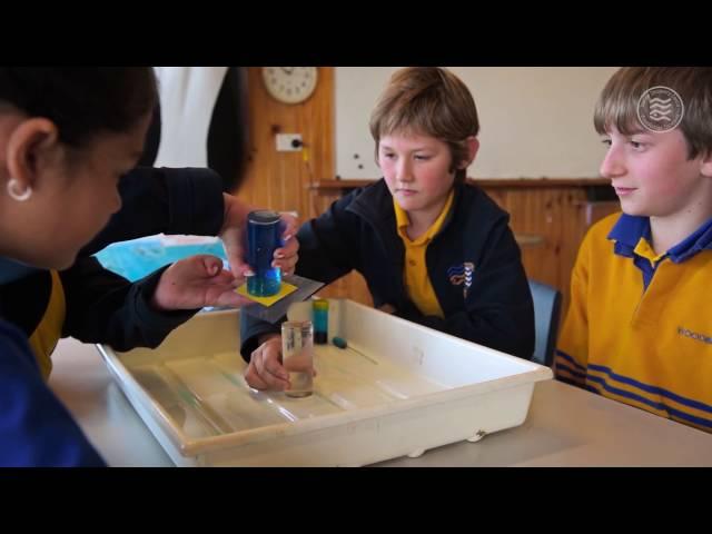 Information about the Woodbridge School Marine Discovery Centre