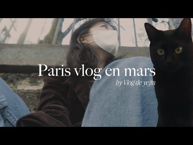 (ENG) Paris vlog  파리에서 우주최강 귀염뽀짝 고양이의 집사로 사는 법, 이케아 앞에서 봉변 당한 이야기.. + 소소한 음악 추천