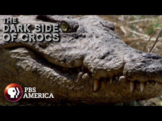 The Dark Side of Crocs FULL SPECIAL | PBS America