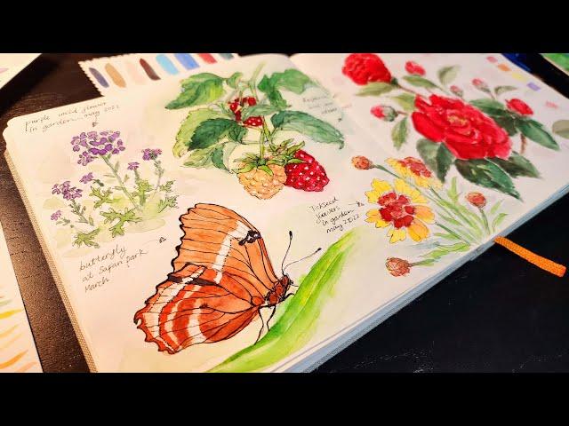 Sketching garden with watercolor and ink - Nature journal