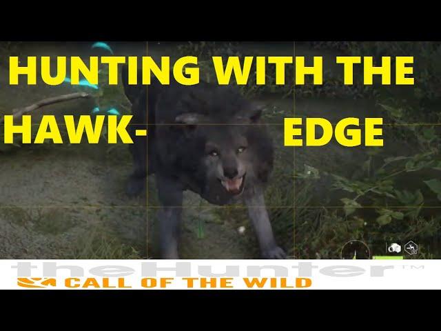 Bowhunting with the HawkEdge |theHunter: Call Of The Wild