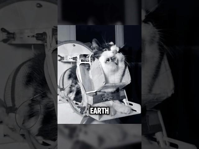 Rare Photos That Will Intrigue Your Mind! 