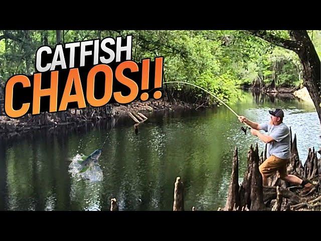 Catfish and Bluegill fishing a river bottom using this bait! (Catch & cook)!