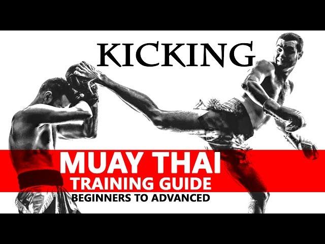 Muay Thai Training Guide. Beginners to Advanced: Kicking