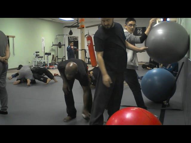 3/1/19 The Dojo, Seth Kovarovic working Taijiquan Pilates ball