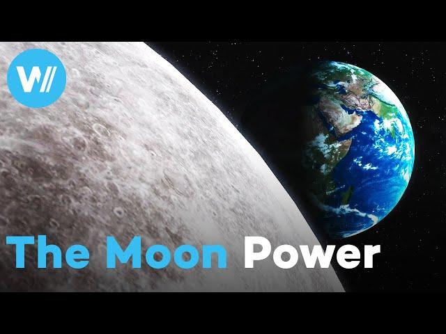 How does the Moon affect the Earth? Spectacular lunar phenomena between tides and animal migrations