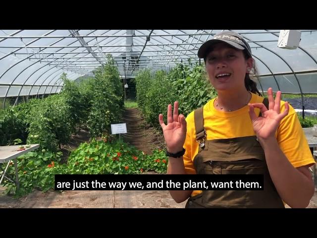 Farber Farm Tour with Jess Wolfe