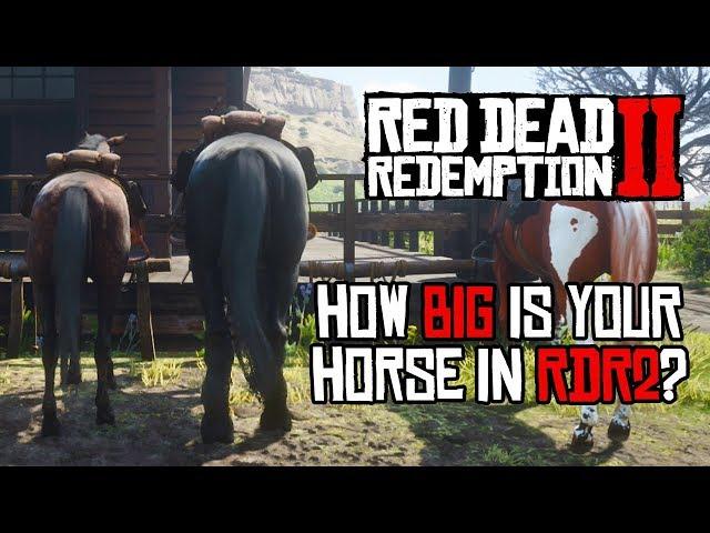 Red Dead Redemption 2 Horses - Size Comparison