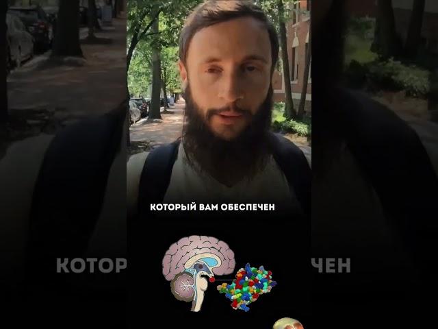В чем плюсы прерывистого голодания?