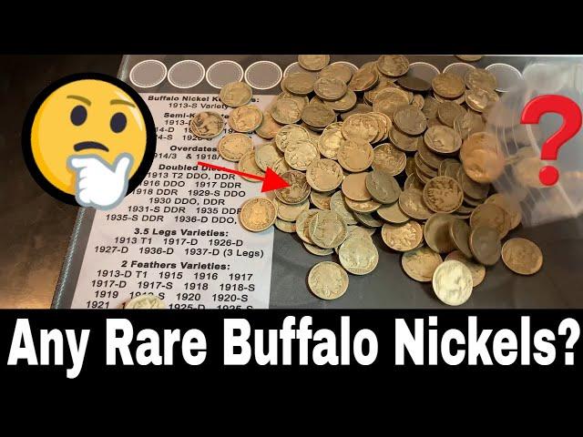 Searching for Rare Coins in a Bag of Buffalo Nickels - Hunt and Fill