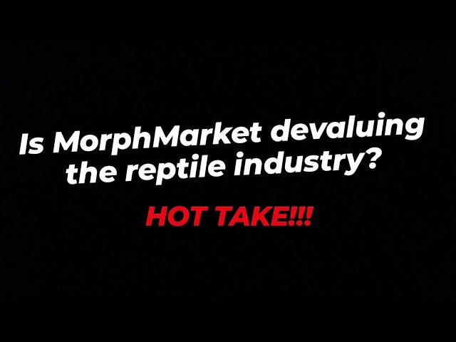 Is MorphMarket devaluing the reptile industry?