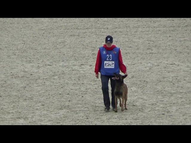 2022 IGP CACT Russia Krasilnikova Maria and Vyatkin's Y'Uran (Malinois) C dis