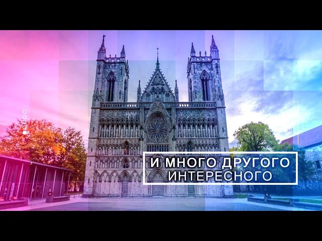 Добро пожаловать на канал Tetiana Nikolaienko