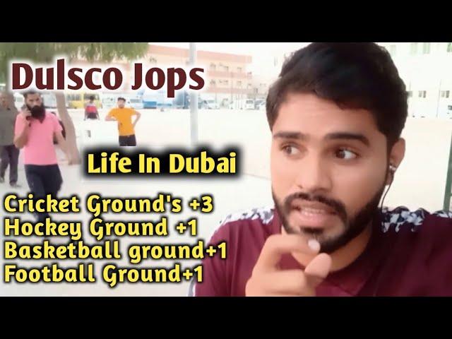 Cricket Ground's And Entertainment | Dulsco Company | #dubai #dubaiworkvisa