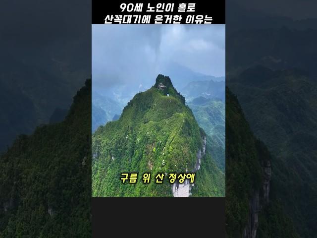 산꼭대기에 홀로 은둔한 90세 노인