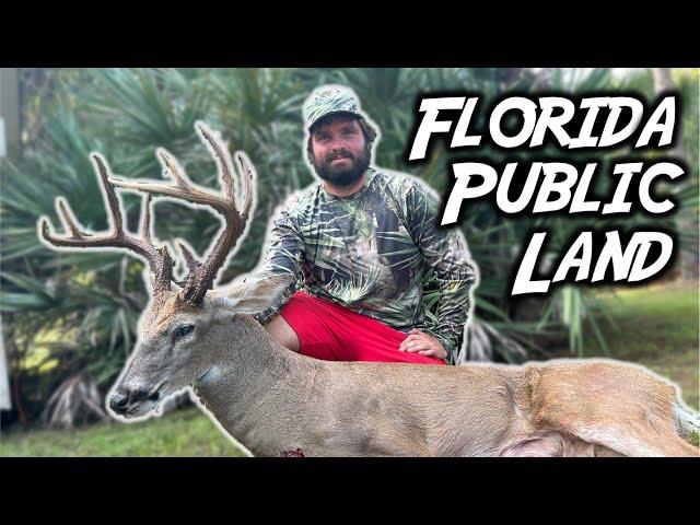 GIANT South Florida Buck: public land archery