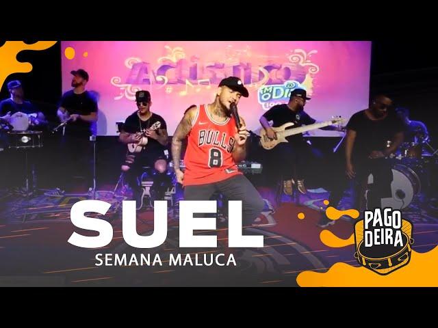 Pagodeira - Suel #Tbt de  1h