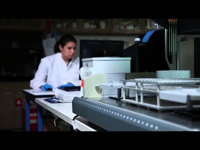 The Feinstein Institute for Medical Research