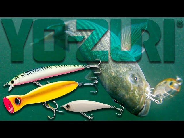 Three Best Lures for Striped Bass: Yo-Zuri 2021