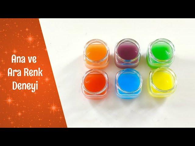 Ana ve Ara Renk Deneyi | Renkleri Öğreniyorum | Okul Öncesi