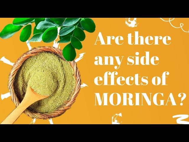 Are There Any Side Effects of Moringa  II Disadvantages of Moringa Powder