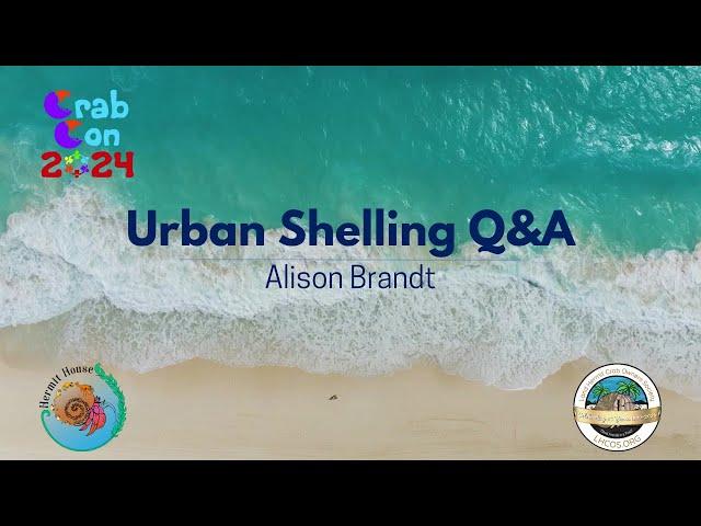 Urban Shelling Q&A Session - Alison Brandt Crab Con 2024