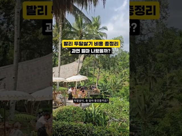 한달살기의 성지, 발리에서 살아보기! 두달살이 총 비용 공개 ㅣ