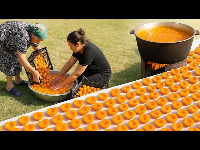 How Grandma Dries Apricots Under the Sun?  Village Life & Apricot Jam